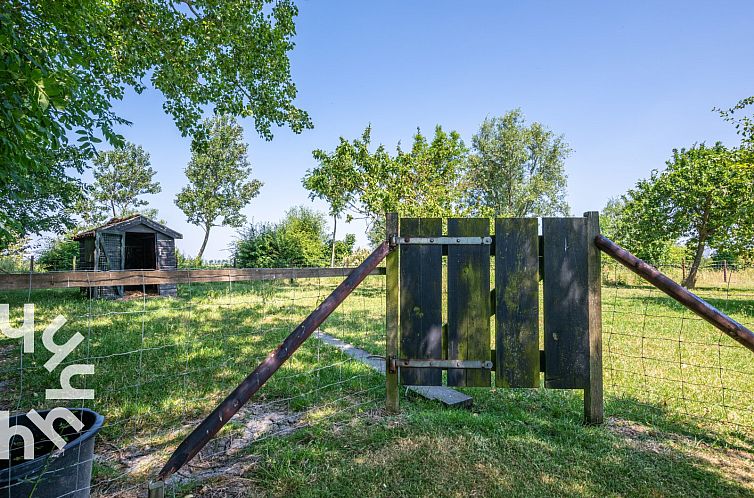 Fijn 4-persoons vakantiehuis met duinzicht en grote tuin in