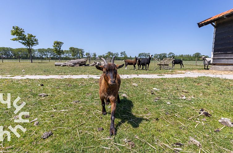 2-persoons studio in Vrouwenpolder op Walcheren, landelijk