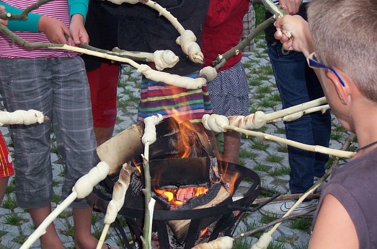 Minicamping Hoekvliet