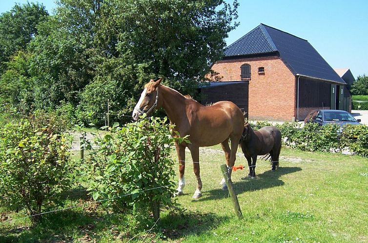 Minicamping Hoekvliet