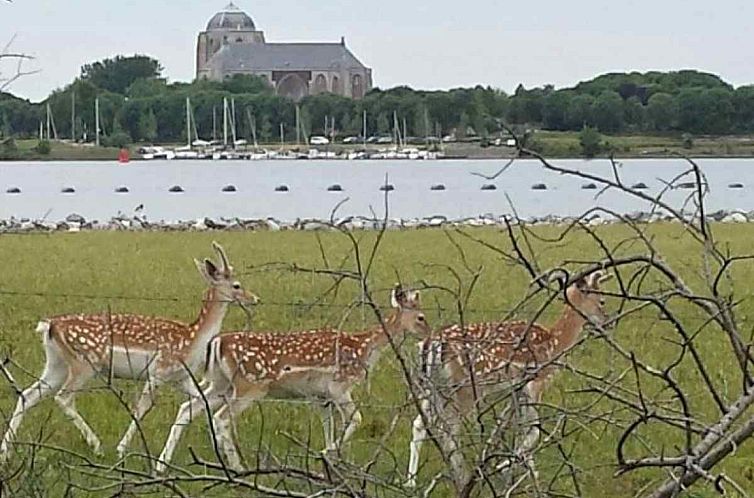 Sfeervol 4-persoons vakantiehuis in Veere 1500 meter van het