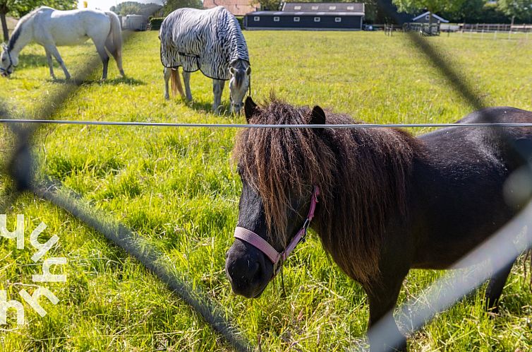 Knus 2-persoons vakantiehuis landelijk gelegen in