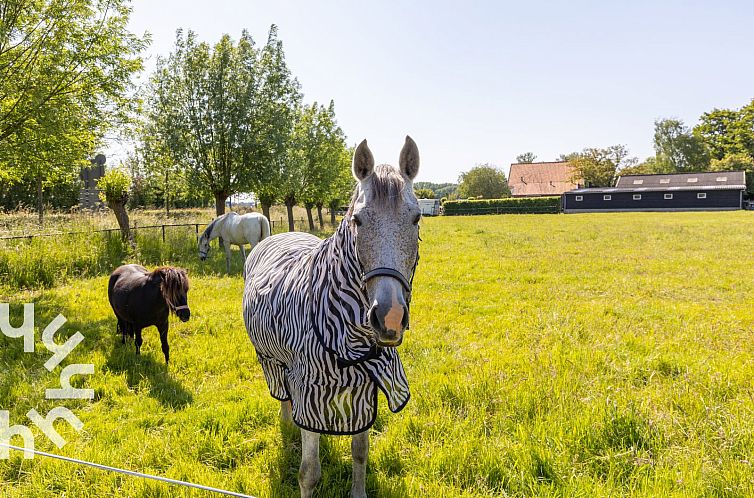 Knus 2-persoons vakantiehuis landelijk gelegen in