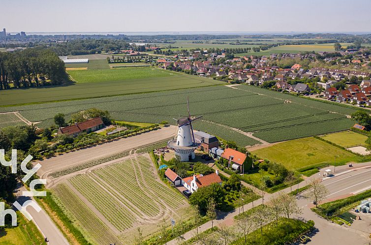 4 persoons bungalow aan de voet van de duinen