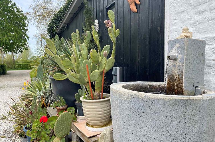 Een gezellig 5-persoons wagenhuis met eigen tuin, nabij