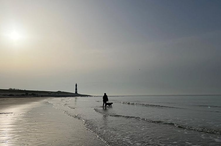 Vakantiehuisje in Breskens