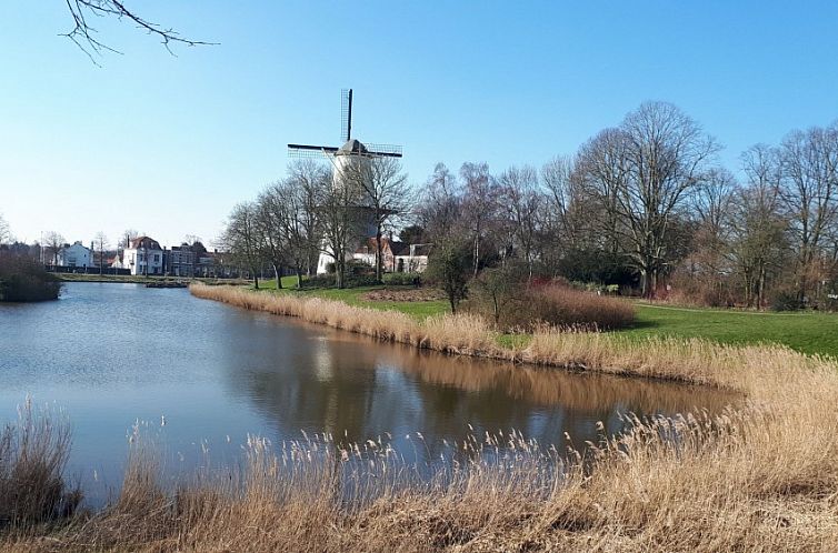 Cottage Doornendijk