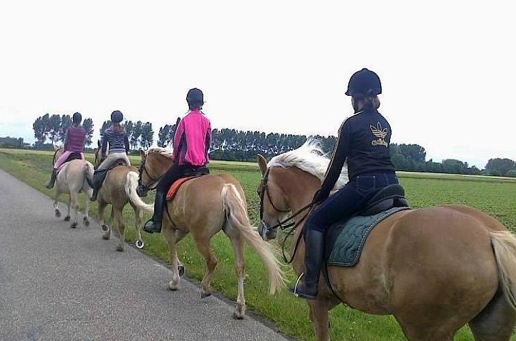 Receatieboerderij de Zeemeeuw