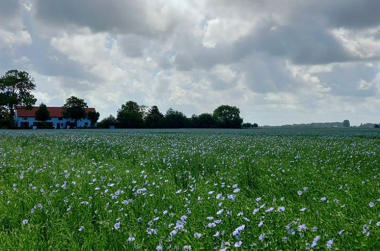 Vakantiehuis in IJzendijke