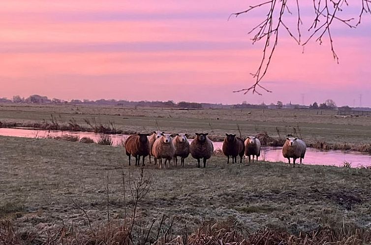 Huisje in Stolwijk