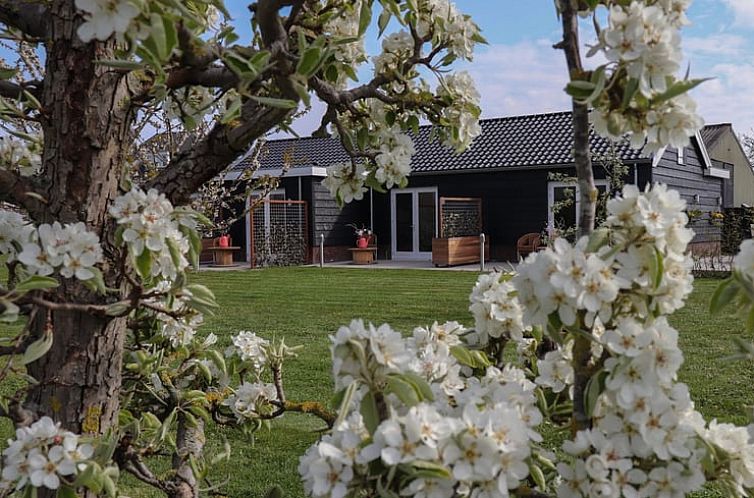 Vakantiehuisje in Sommelsdijk