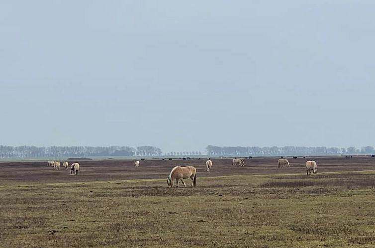 Vakantiehuis in Sommeldsijk