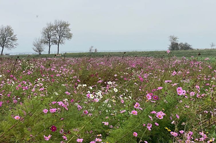 Huisje in Sommeldsijk