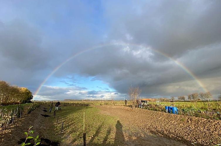 Huisje in Sommeldsijk