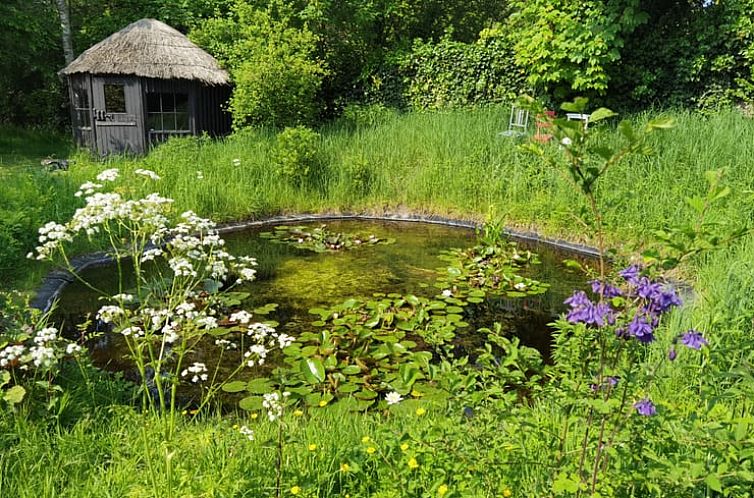 Huisje in Goedereede