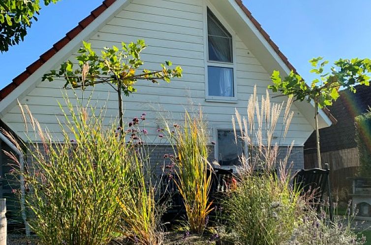 ZeeLandZon met jacuzzi en sauna