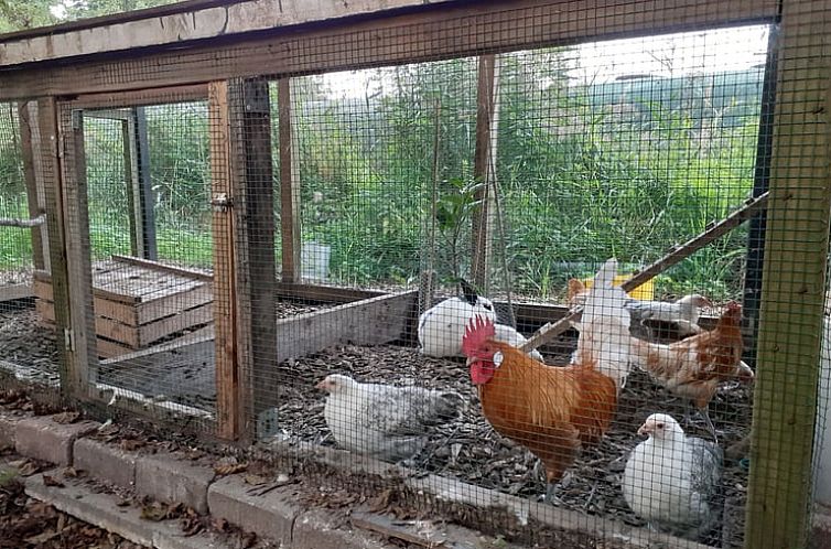 Vakantiehuisje in Woerdense Verlaat