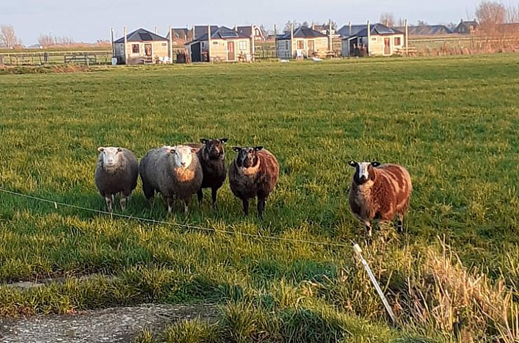 Huisje in Woerdense Verlaat