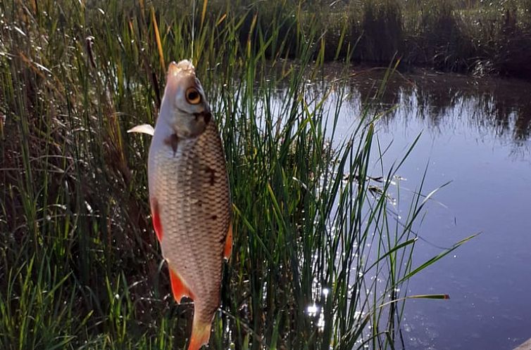 Huisje in Woerdense Verlaat