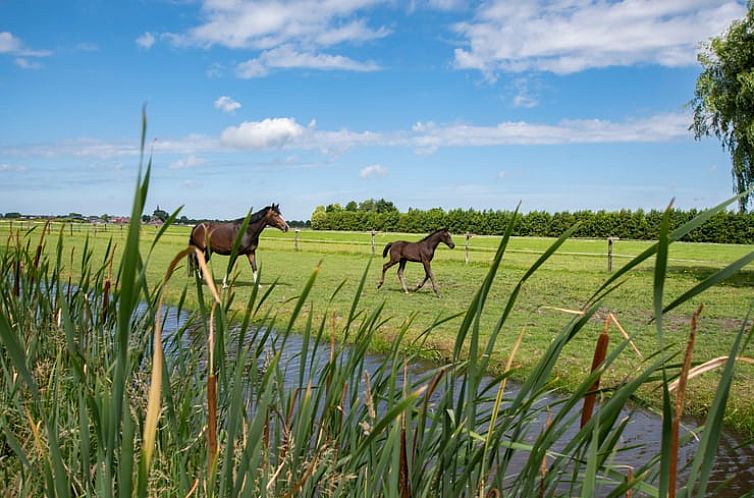 Vakantiehuisje in Rijpwetering