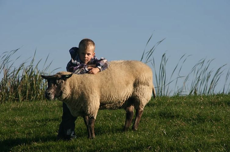 Vakantiehuisje in Rijpwetering