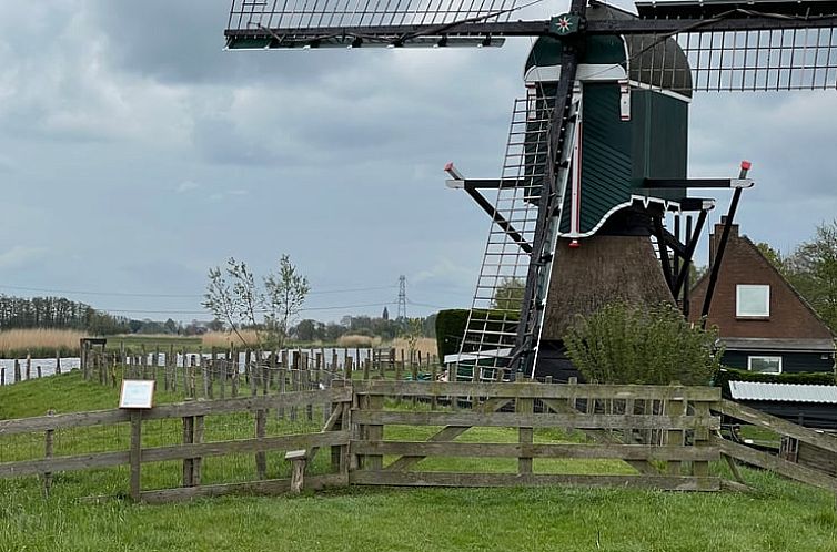 Huisje in Bodegraven