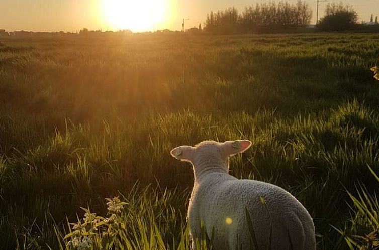 Huisje in Bodegraven