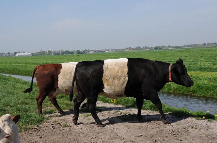 Vakantiehuisje in Leimuiden