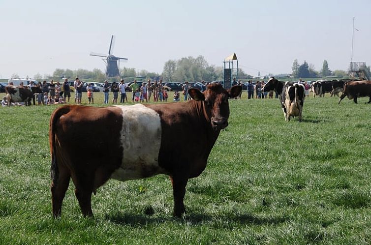 Vakantiehuisje in Leimuiden