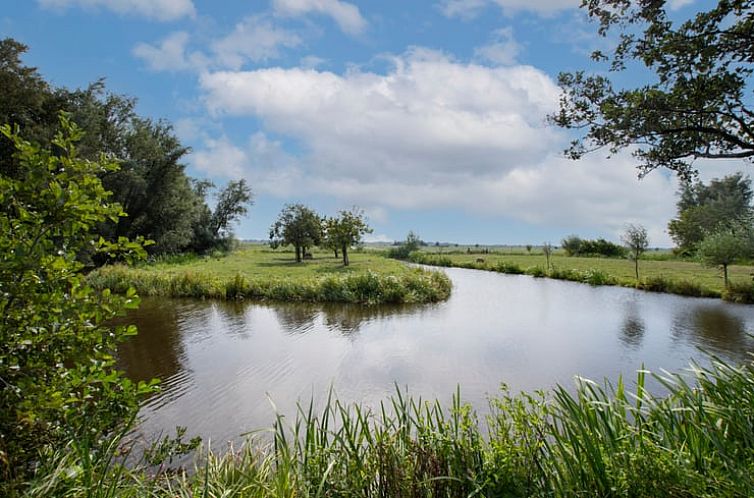 Huisje in Aarlanderveen