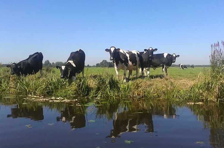 Vakantiehuisje in Aarlanderveen