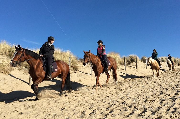 Boerderij Puik en Duin Noordwijk 