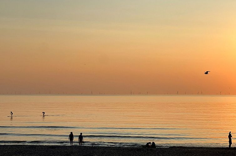 Boerderij Puik en Duin Noordwijk 