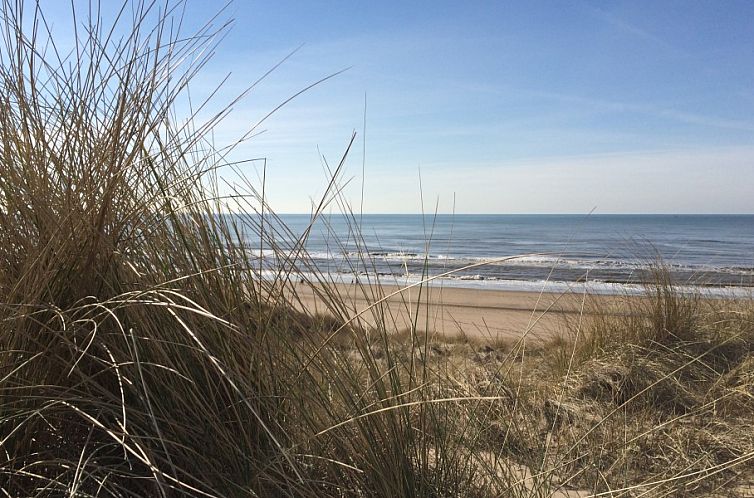 Nieuw Vakantiehuis Puik en Duin 5a