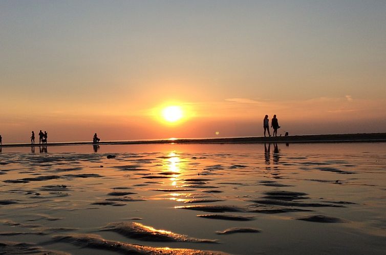 Nieuw Vakantiehuis Puik en Duin 5a