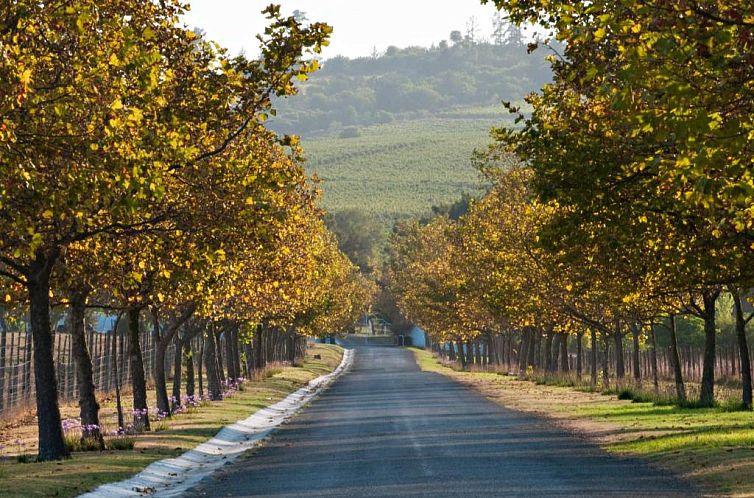 Saxenburg Wine Farm