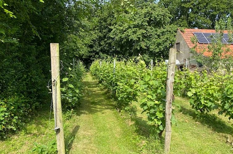 Vakantiehuisje in Groesbeek