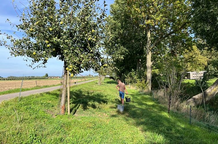 Huisje in Slijk-Ewijk