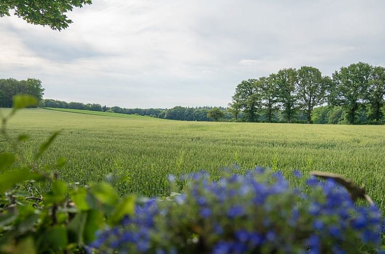 Vakantiehuis in Berg en Dal