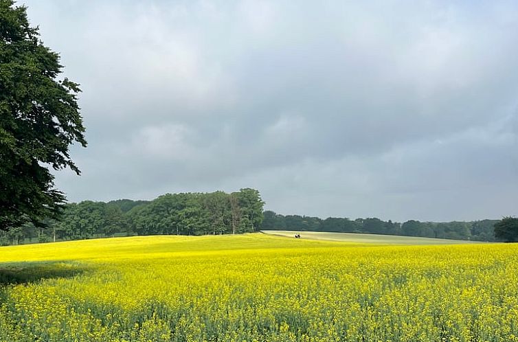 Vakantiehuis in Berg en Dal