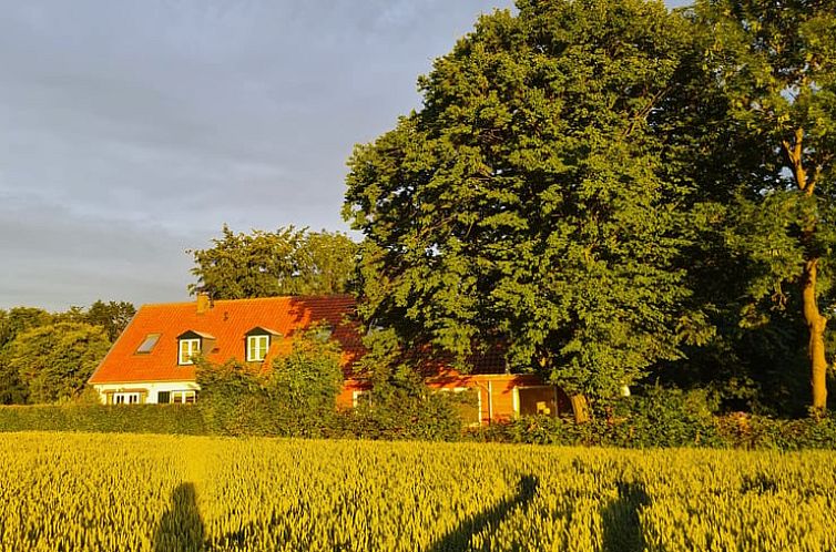 Vakantiehuis in Berg en Dal