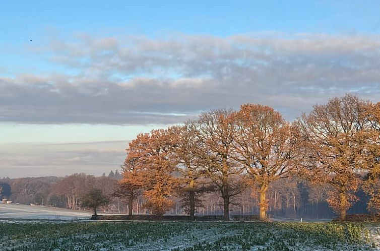 Vakantiehuis in Berg en Dal