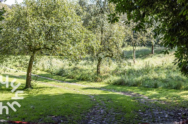 Prachtig gelegen 10 persoons vakantieboerderij in Berg en