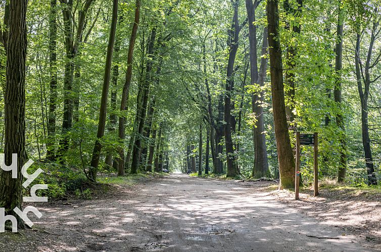 Prachtig gelegen 10 persoons vakantieboerderij in Berg en