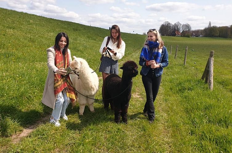 Vakantiehuisje in Nederasselt