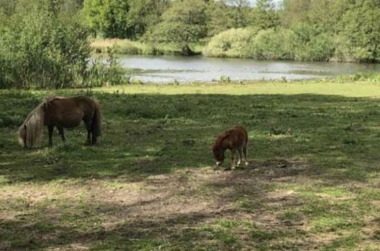 Huisje in Alverna