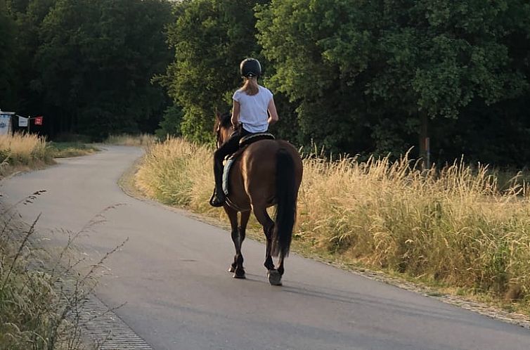 Vakantiehuisje in Overasselt