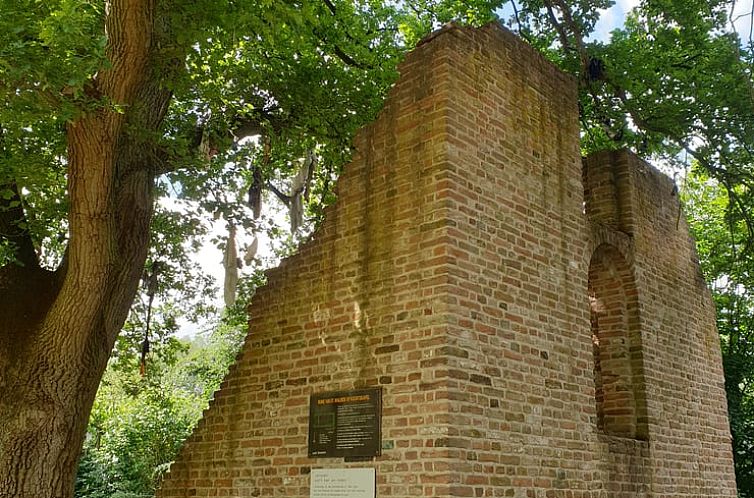 Huisje in Overasselt