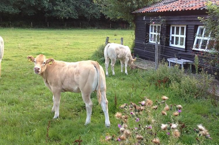 Vakantiehuisje in Overasselt