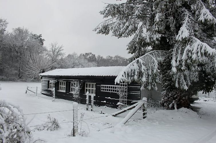 Vakantiehuisje in Overasselt